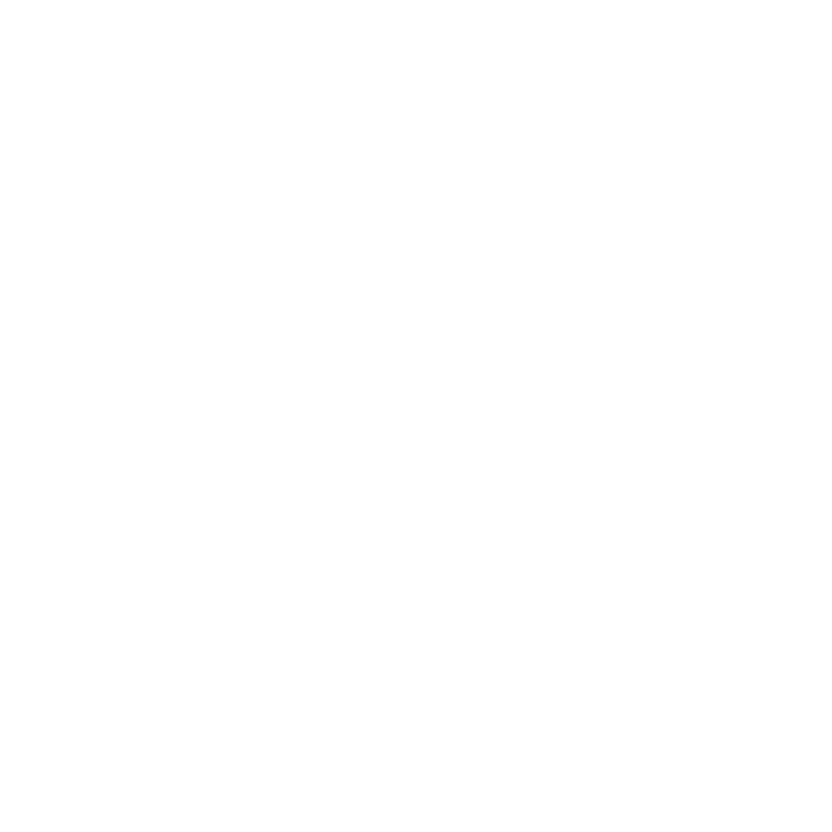SAFECORE CONSULTORA